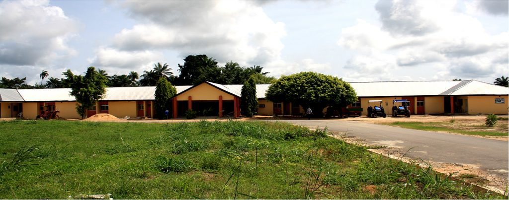 federal-college-of-education-omoku-river-state-fcet-omoku